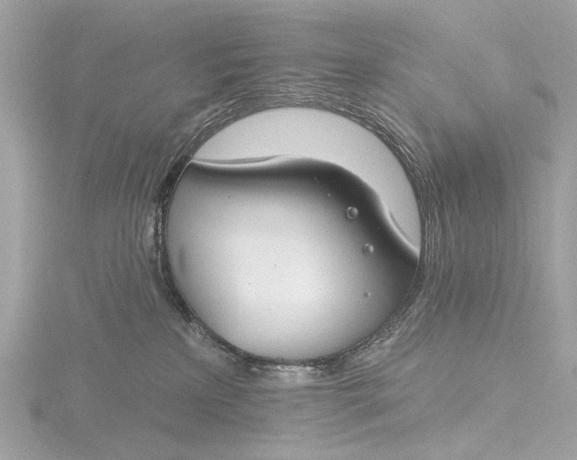 X0000116450233200912221550