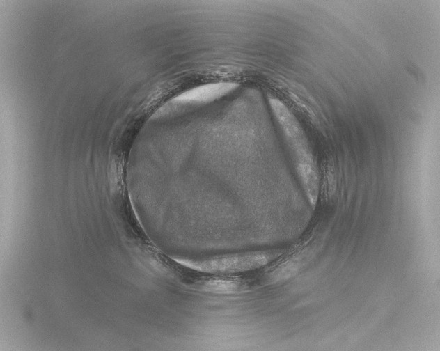 X0000116450236200912221550