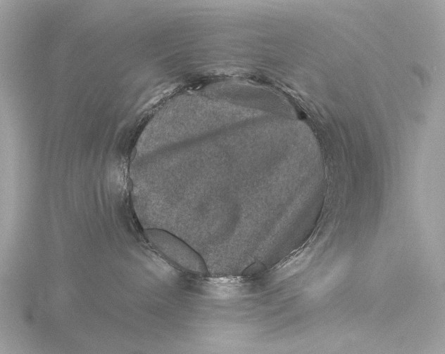 X0000116450240200912221550