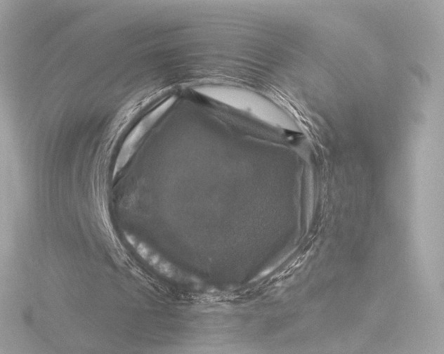 X0000116450241200912221549
