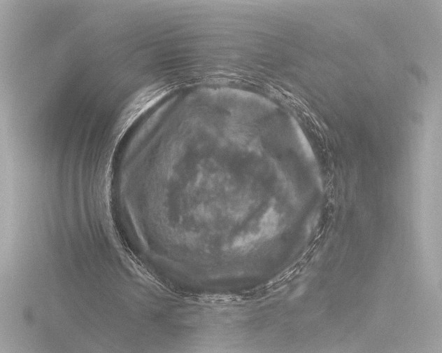 X0000116450242200912221549