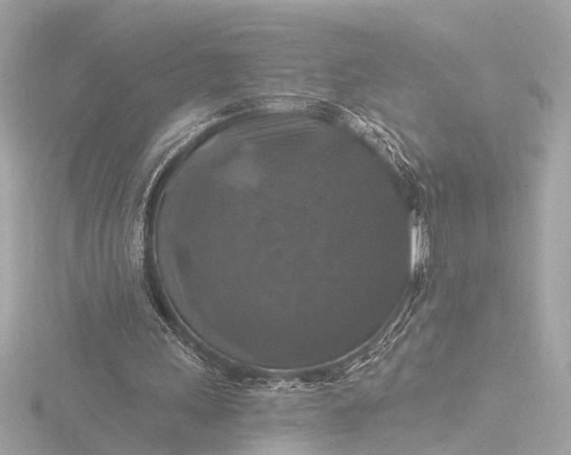 X0000116450243200912221549