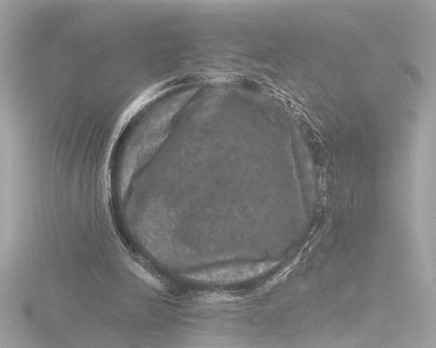 X0000116450246200912221550