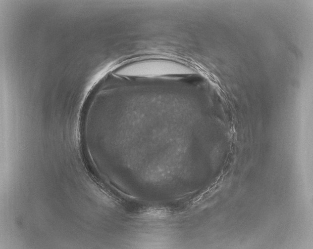 X0000116450248200912221550