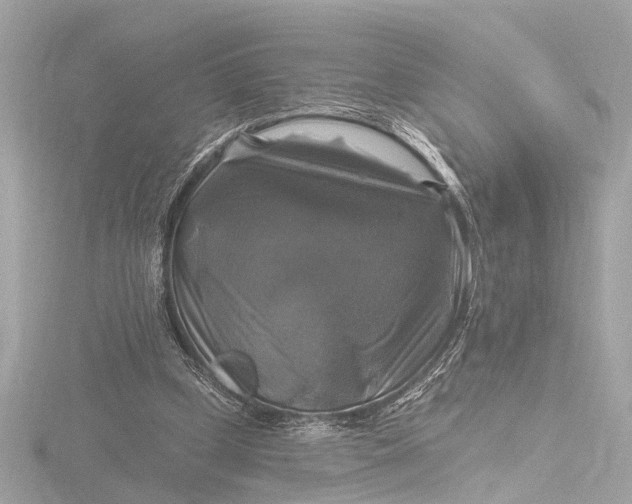 X0000116450249200912221550