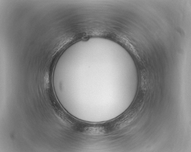 X0000116450251200912221550