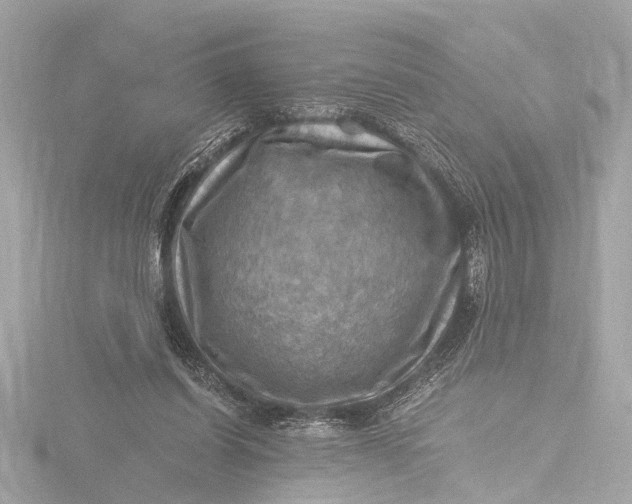X0000116450254200912221550