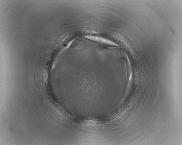 X0000116450259200912221550