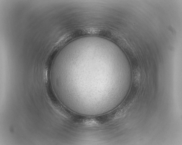 X0000116450262200912221550
