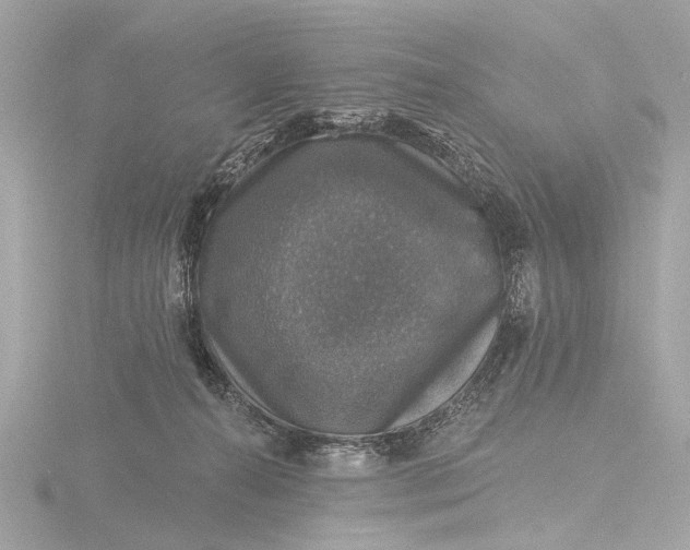 X0000116450272200912221550