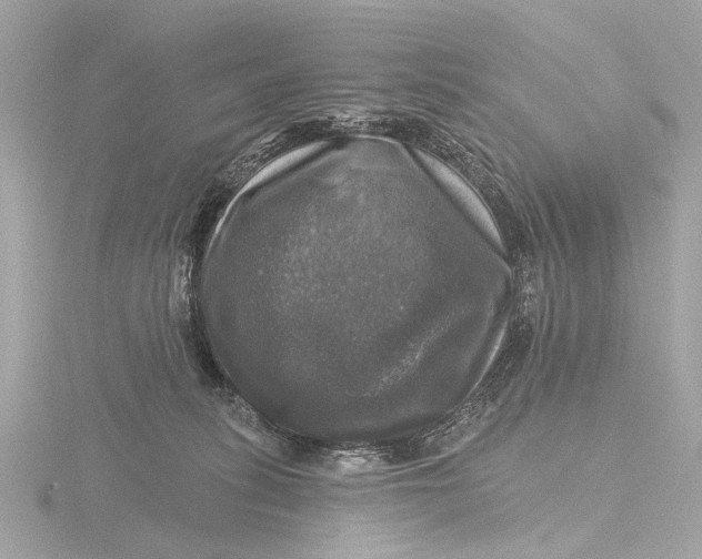 X0000116450275200912221550