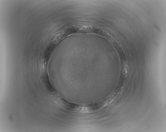 X0000116450276200912221550