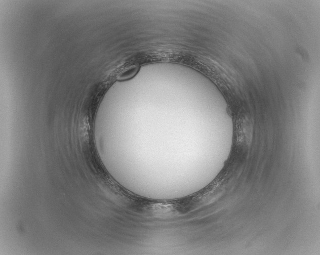 X0000116450279200912221550