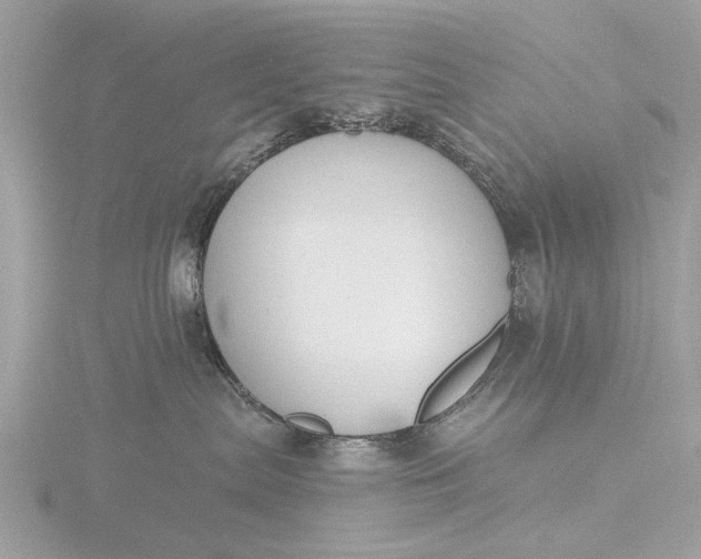 X0000116450287200912221550