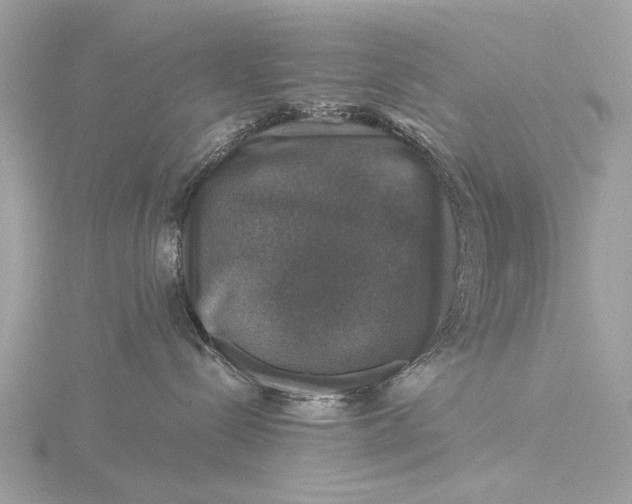 X0000116450288200912221550