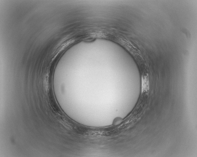 X0000116450291200912221549