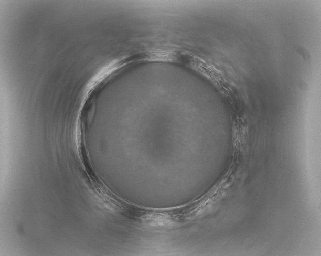 X0000116450294200912221549