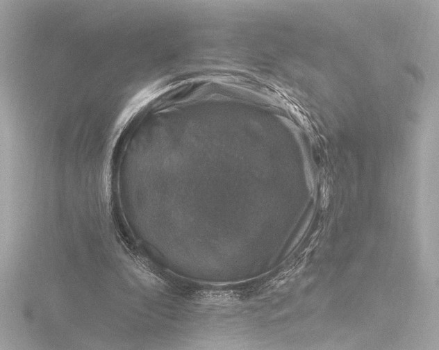X0000116450296200912221549