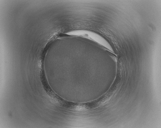 X0000116450308200912221549