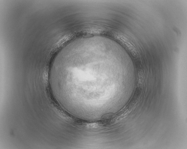 X0000116450309200912221549