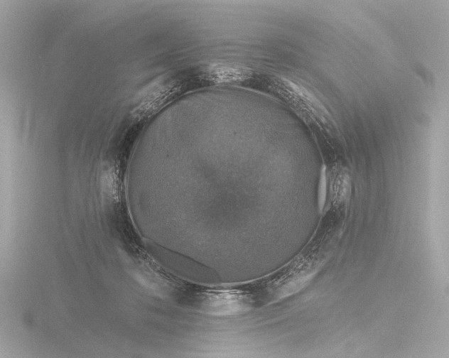 X0000116450316200912221549