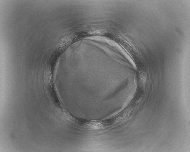 X0000116450322200912221549