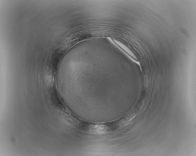 X0000116450324200912221549