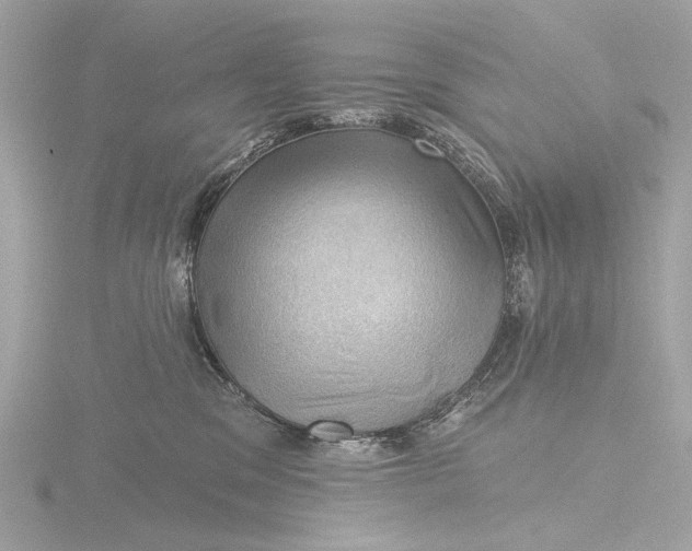 X0000116450329200912221549