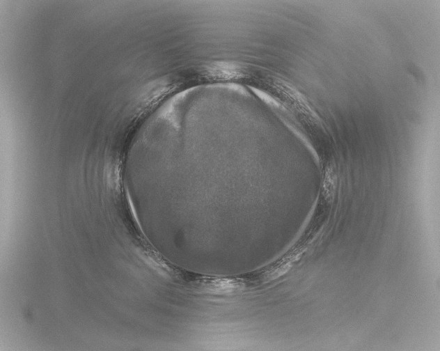 X0000116450330200912221549