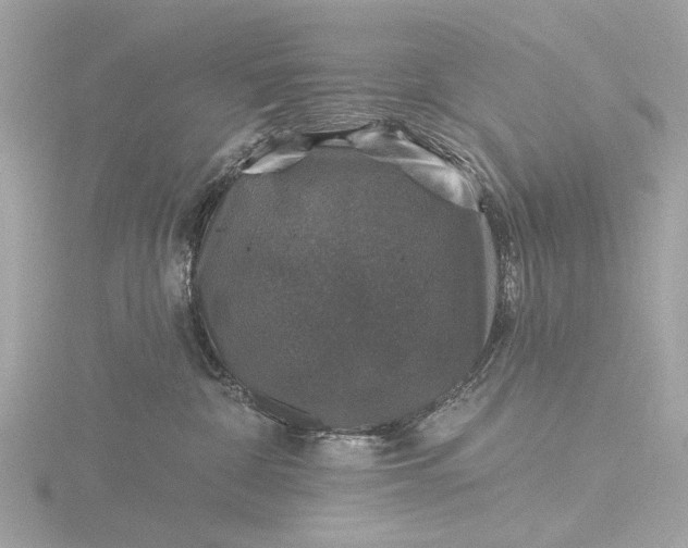 X0000116450332200912221549