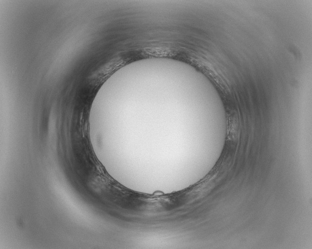 X0000116450334200912221549