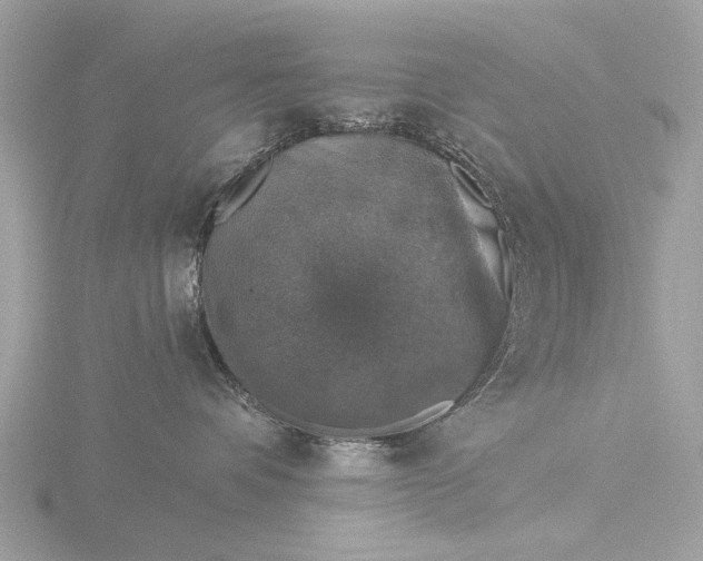 X0000116450336200912221549