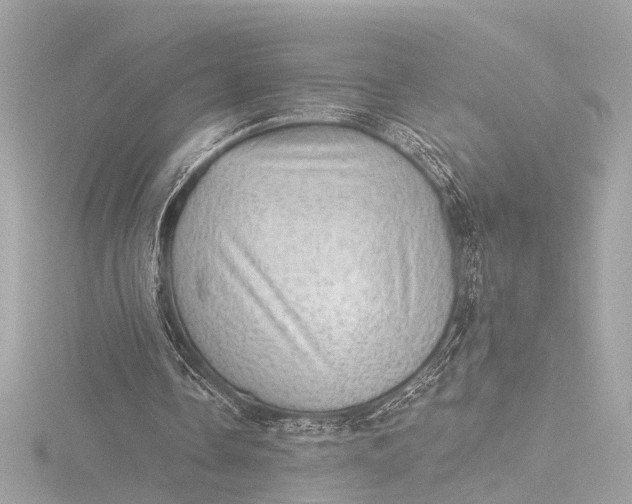 X0000116450338200912221548