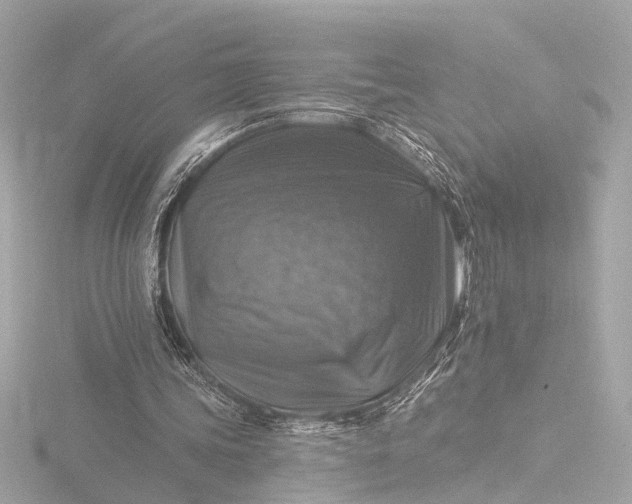 X0000116450339200912221548