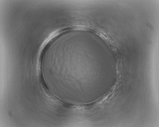 X0000116450343200912221548