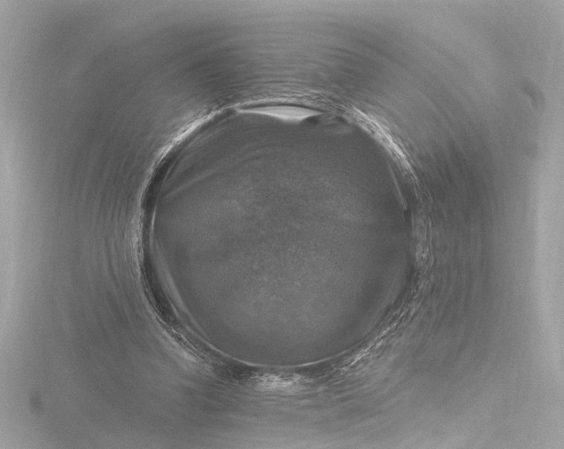 X0000116450346200912221548
