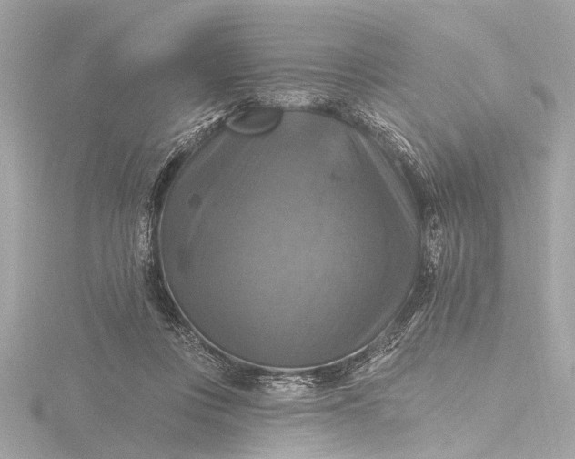 X0000116450359200912221549