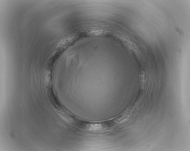 X0000116450361200912221549