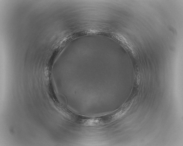 X0000116450366200912221549
