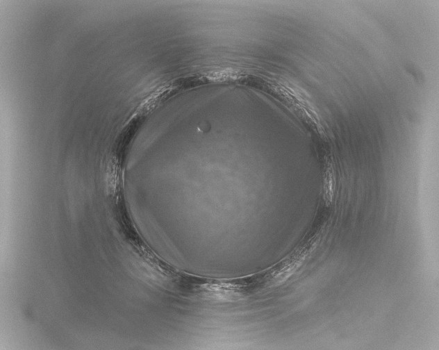 X0000116450367200912221549