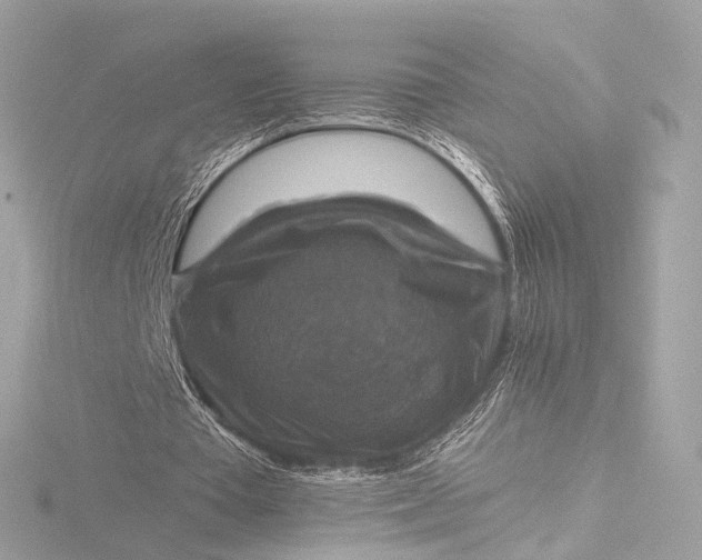 X0000116450385200912221548
