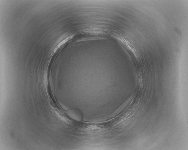 X0000116450390200912221548