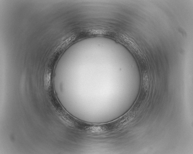 X0000116450406200912221548