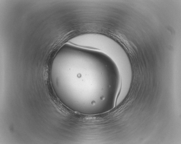 X0000116450413200912221548