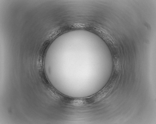 X0000116450418200912221548