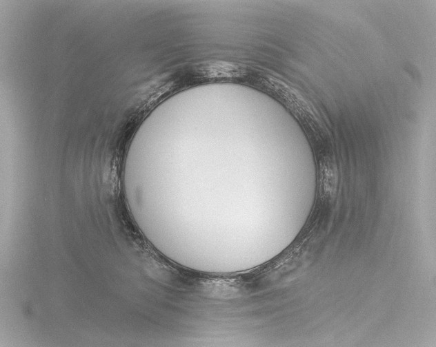 X0000116450422200912221548