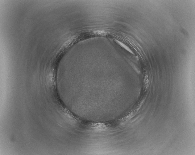 X0000116450424200912221548