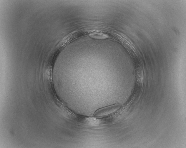 X0000116450425200912221548
