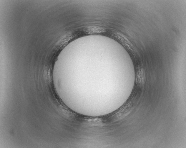 X0000116450426200912221548