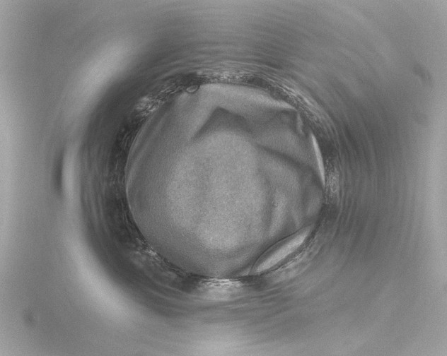 X0000116450429200912221548